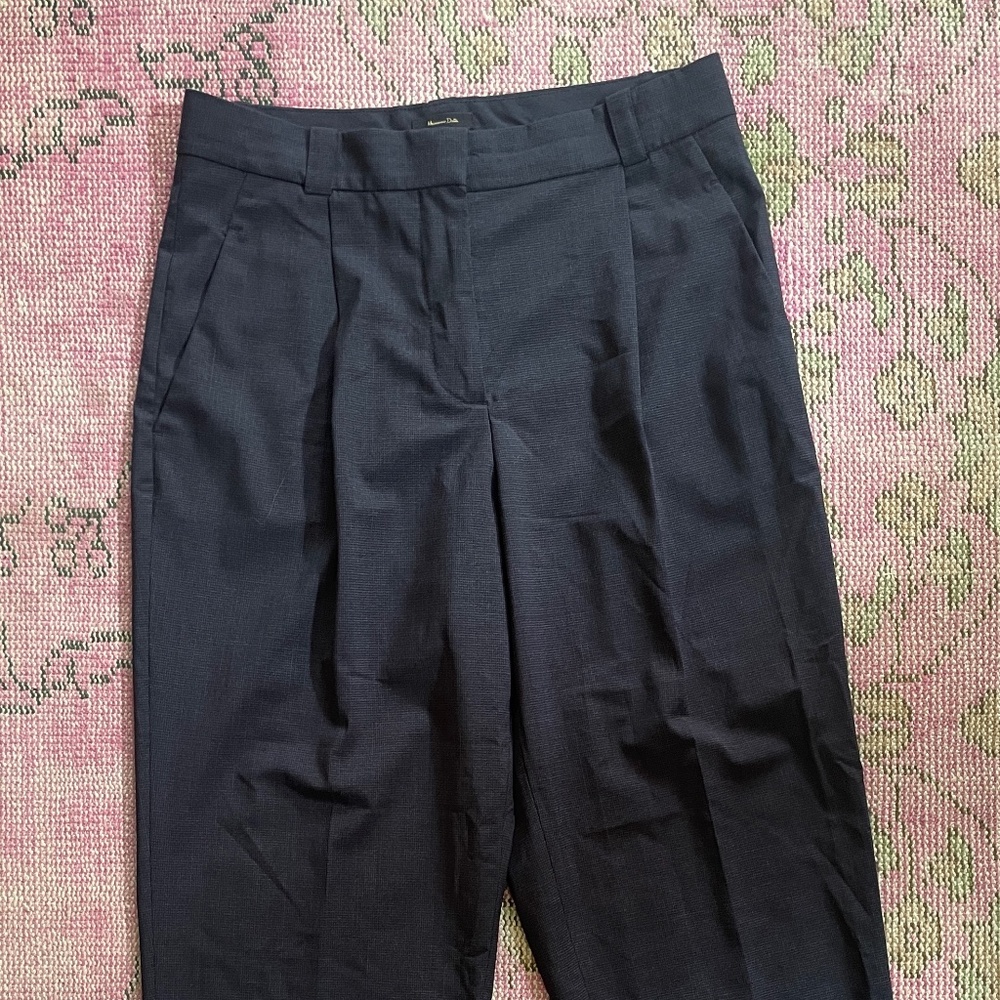 Massimo Dutti Pleated Pants